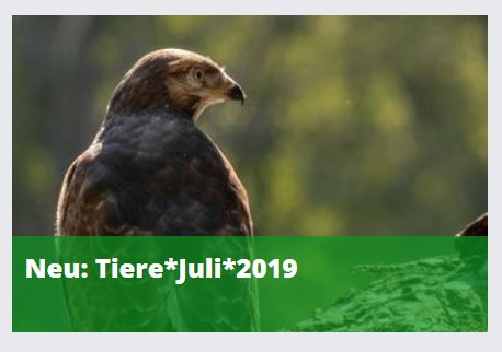 Screenshot find-das-bild.de