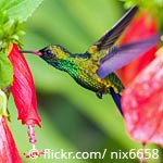 © www.abenteuer-regenwald.de © www.abenteuer-regenwald.de