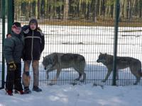 Was ist das, ein Alphawolf? Zwei Kinderreporter besuchen die Wölfe des Wildparks Schorfheide
