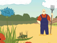 Feld und Wiese Habitat Feld und Wiese