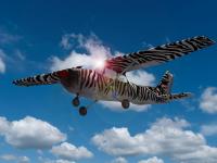 Zebraflieger aus Die Buschpiloten Zebraflieger aus Die Buschpiloten